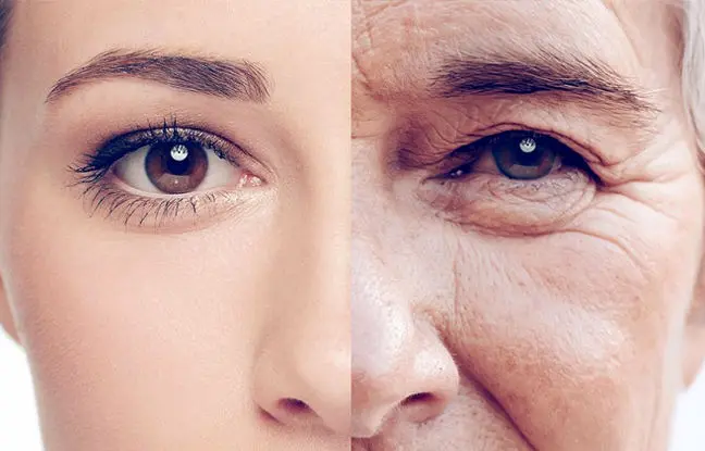 کلروفیل و کلاژن؛ معجزه ای سبز برای پوست یا تبلیغات؟