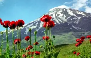  نمای قله دماوند از دریاچه الندان در استان مازندران + ویدئو