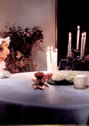  پشت صحنه ای که از فیلمبرداری کلاه قرمزی و سروناز ندیدید! 