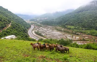 سفر یک روزه به کجای مازندران برویم ؟ سفر به زیراب سوادکوه