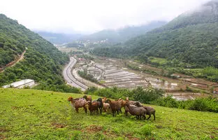 سفر یک روزه به کجای مازندران برویم ؟ سفر به زیراب سوادکوه