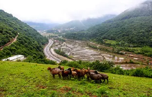 سفر یک روزه به کجای مازندران برویم ؟ سفر به زیراب سوادکوه