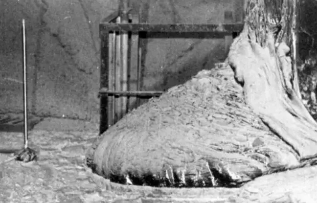 پای فیل، مرگبارترین ماده جهان که در ۵ دقیقه باعث مرگ می‌شود