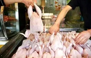 قیمت گوشت مرغ، امروز دوشنبه ۱ بهمن ۱۴۰۳
