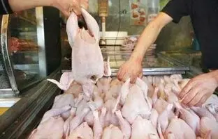 قیمت گوشت مرغ، امروز دوشنبه ۱ بهمن ۱۴۰۳
