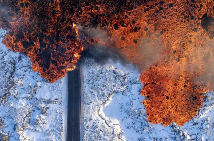 برندگان مسابقه عکاسی طبیعت 2025 معرفی شدند؛ دنیای حیرت‌انگیز حیوانات