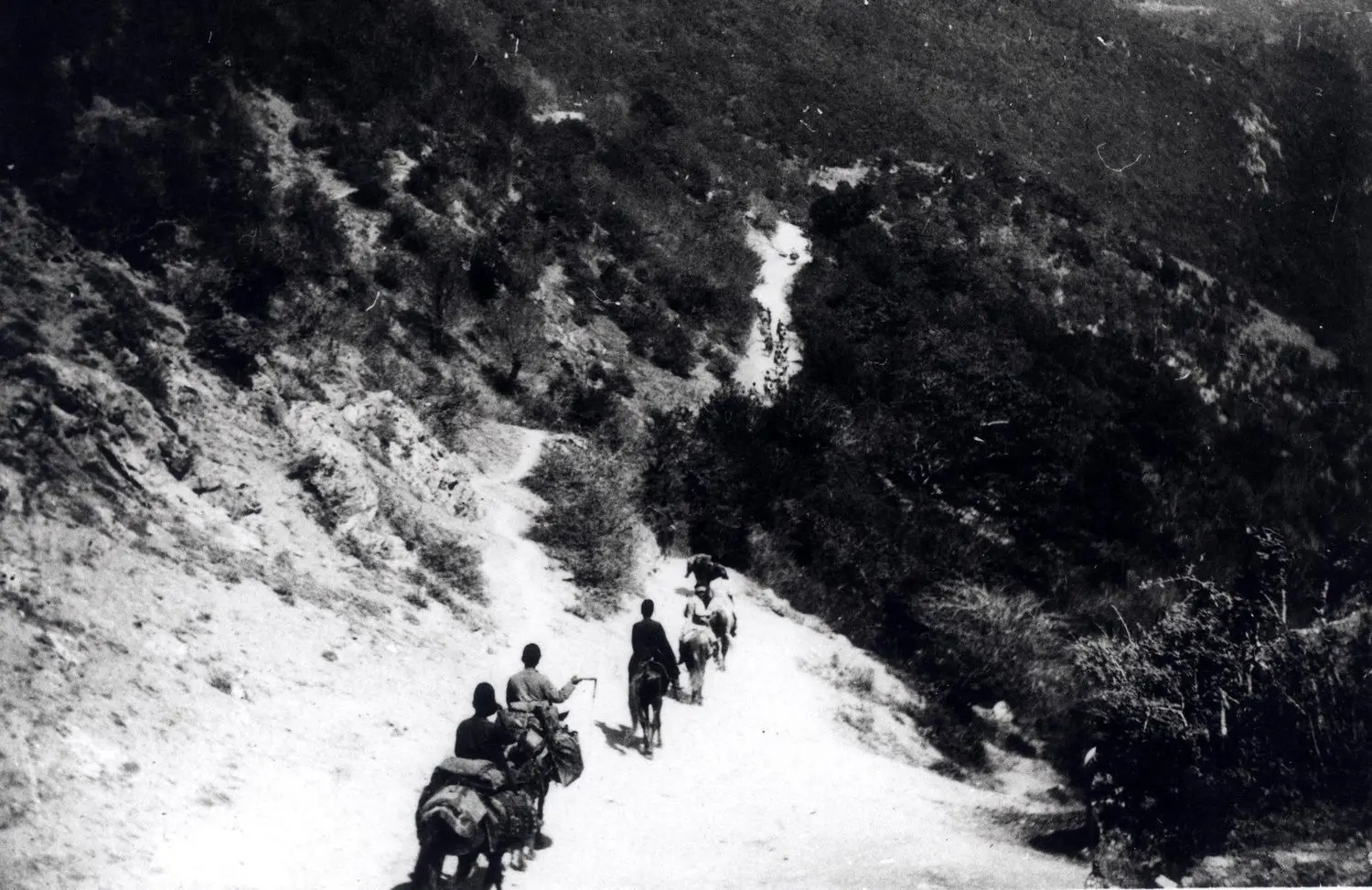 جاده اوشان فشم 130 سال قبل + تصویر