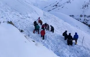 کشف جسد ۴ کوهنورد مفقودی دیگر در حادثه سقوط بهمن