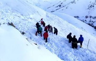 کشف جسد ۴ کوهنورد مفقودی دیگر در حادثه سقوط بهمن