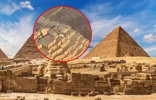 عاقبت سگ بازیگوشی که بالای هرم جیزه می دویید چه شد؟ + ویدئو