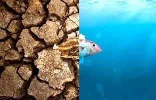 لانینا در راه ایران است!