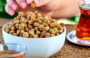  ۳ روش ساده و کاربردی برای خشک کردن توت در خانه 