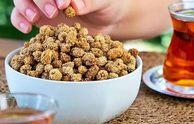  ۳ روش ساده و کاربردی برای خشک کردن توت در خانه 