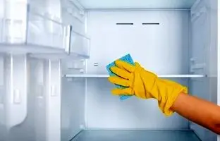 یخچال شما ممکن است به محیط پرورش باکتری تبدیل شود – راهکارهایی برای پیشگیری 