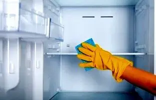 یخچال شما ممکن است به محیط پرورش باکتری تبدیل شود – راهکارهایی برای پیشگیری 