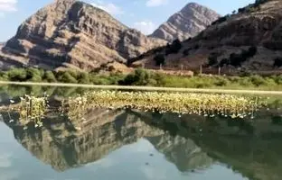 دشت شیمبار خوزستان؛نمونه ای زیبا از طبیعت ایران