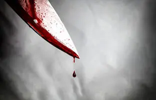 آقای دکتر پسرش را با چاقو کشت/ نمی‌دانم چند ضربه زدم ، دیدم پسرم غرق خون است