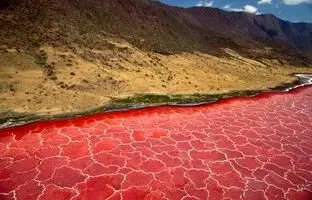 دریاچه‌ عجیب و مخوفی که حیوانات را به سنگ تبدیل می‌کند +ویدئو