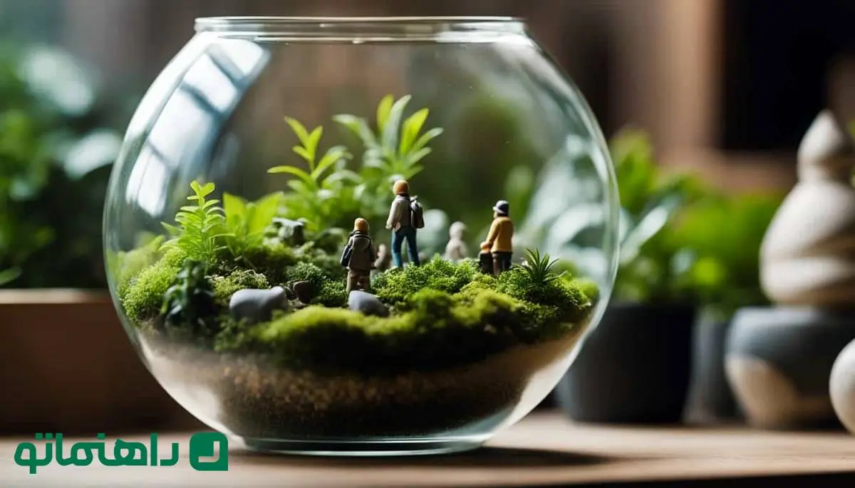 یک باغچه مینیاتوری زیبا؛ جذاب‌ترین گیاهان آپارتمانی برای تراریوم