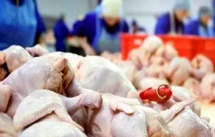 
قیمت گوشت مرغ، امروز دوشنبه ۲۰ اسفند ۱۴۰۳
