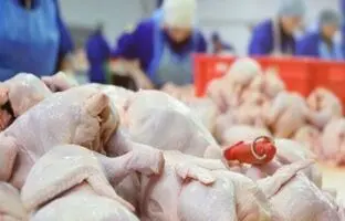 راهنمای بازار؛ قیمت گوشت مرغ، امروز ۱۴ اردیبهشت ۱۴۰۴
