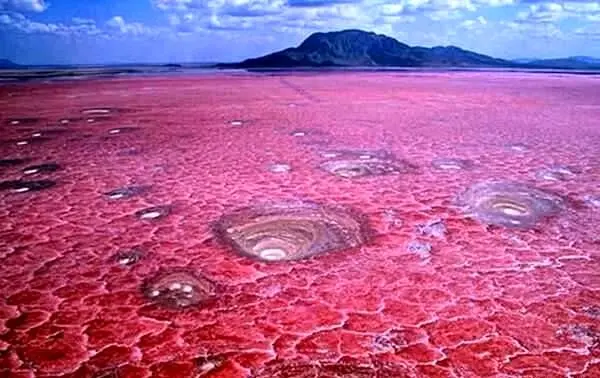 (ویدئو) بزرگترین دریاچه نمکی رنگی دنیا را ببینید! 