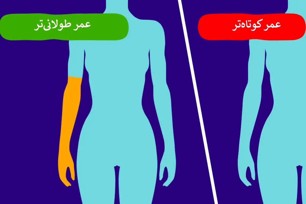 ۸ واقعیت درباره بدن شما که نشان می‌دهد عمر طولانی‌تری خواهید داشت