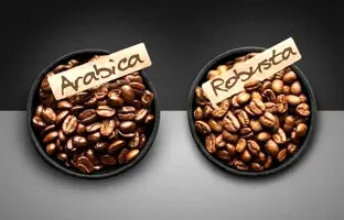بهترین قهوه برای بیدار ماندن کدام است؟ 