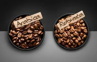 بهترین قهوه برای بیدار ماندن کدام است؟ 