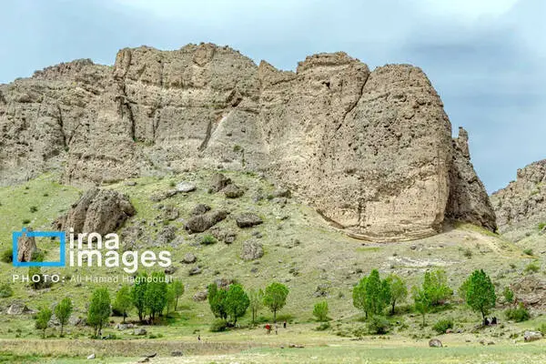 گالری