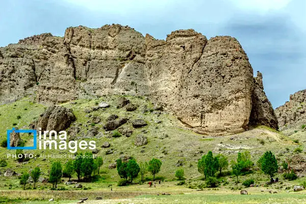 گالری