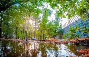 4 پارک جنگلی غرب تهران برای تعطیلات آخر هفته