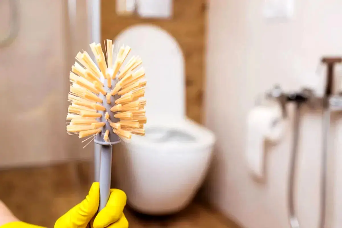 چرا فرچه توالت زرد می شود؟