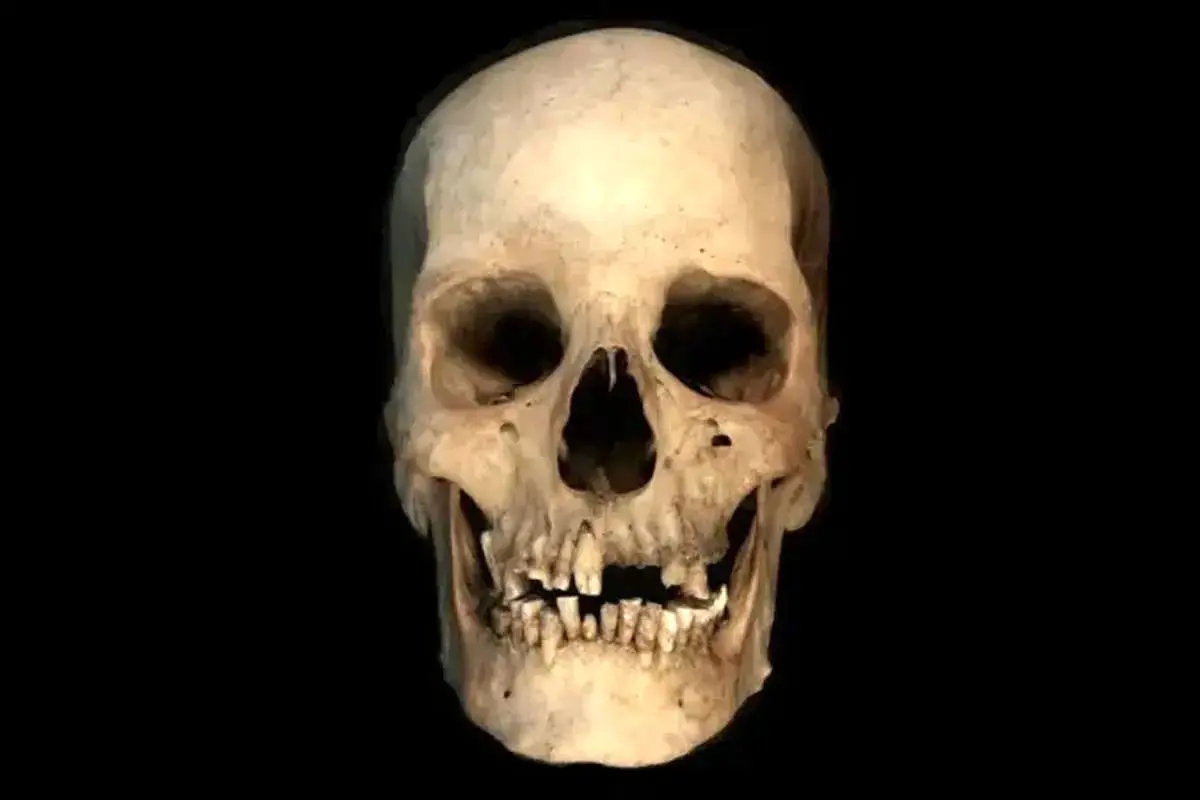  اسکلت ۴۵۰۰ ساله، داستان تازه‌ای از مصر باستان روایت می‌کند 