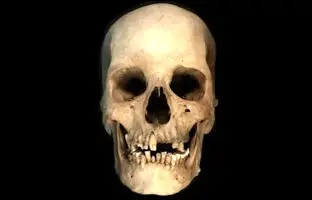 اسکلت ۴۵۰۰ ساله، داستان تازه‌ای از مصر باستان روایت می‌کند 