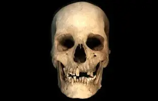  اسکلت ۴۵۰۰ ساله، داستان تازه‌ای از مصر باستان روایت می‌کند 