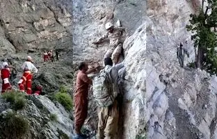 مصدومیت محیط‌ بان پارک ملی دنا در درگیری با شکارچیان
