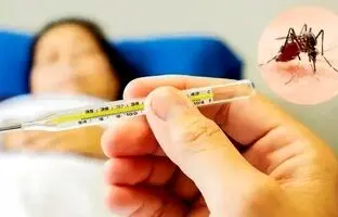 تب دنگی چقدر خطرناک است؟/ این افراد نوع شدید دنگی را می‌گیرند