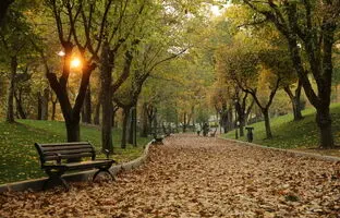پاییز میهمان تهران باشید/ معابر و پارک های پاییزی برای قدم زدن را بشناسید