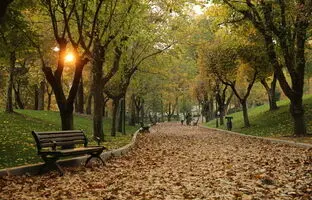 پاییز میهمان تهران باشید/ معابر و پارک های پاییزی برای قدم زدن را بشناسید