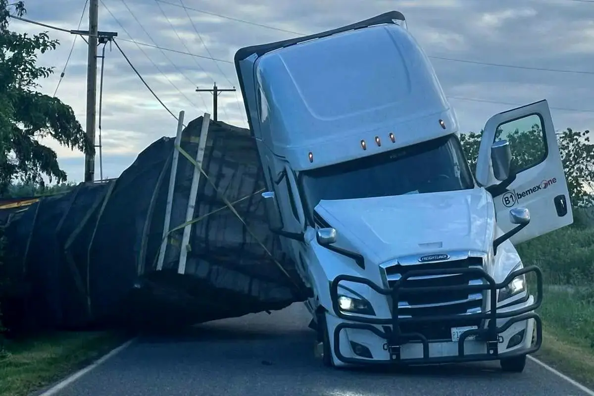 فرار ۱۴ میلیون زنبور پس از واژگونی تریلر کندوها + ویدئو