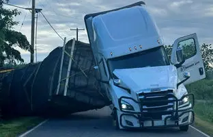 فرار ۱۴ میلیون زنبور پس از واژگونی تریلر کندوها + ویدئو