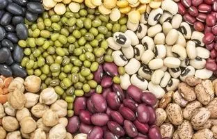 قیمت لوبیا چیتی و ۱۰ حبوبات دیگر