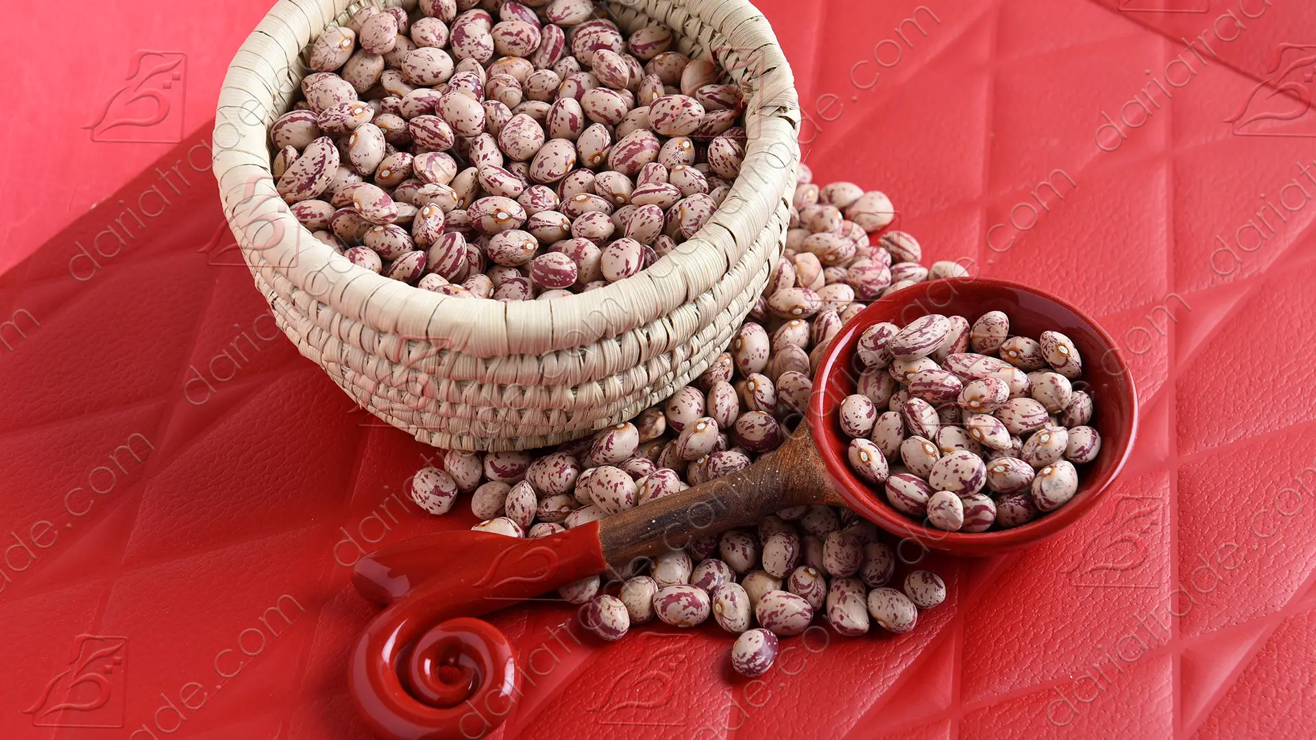  قیمت لوبیا چیتی به ۲۴۵ هزارتومان رسید 