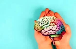 ۶ خوراکی برای زنده کردن مغز