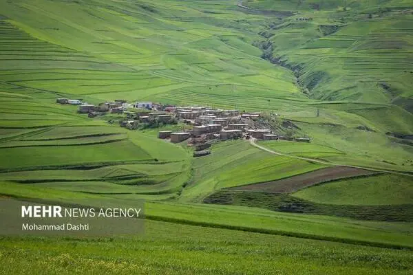 گالری