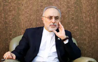 اظهارات جدید علی اکبر صالحی درباره بتن‌ریزی در راکتور اراک
