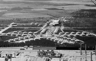 سرباز گارد جاویدان هخامنشی در حال نگهبانی از دیش‌های ماهواره! + عکس