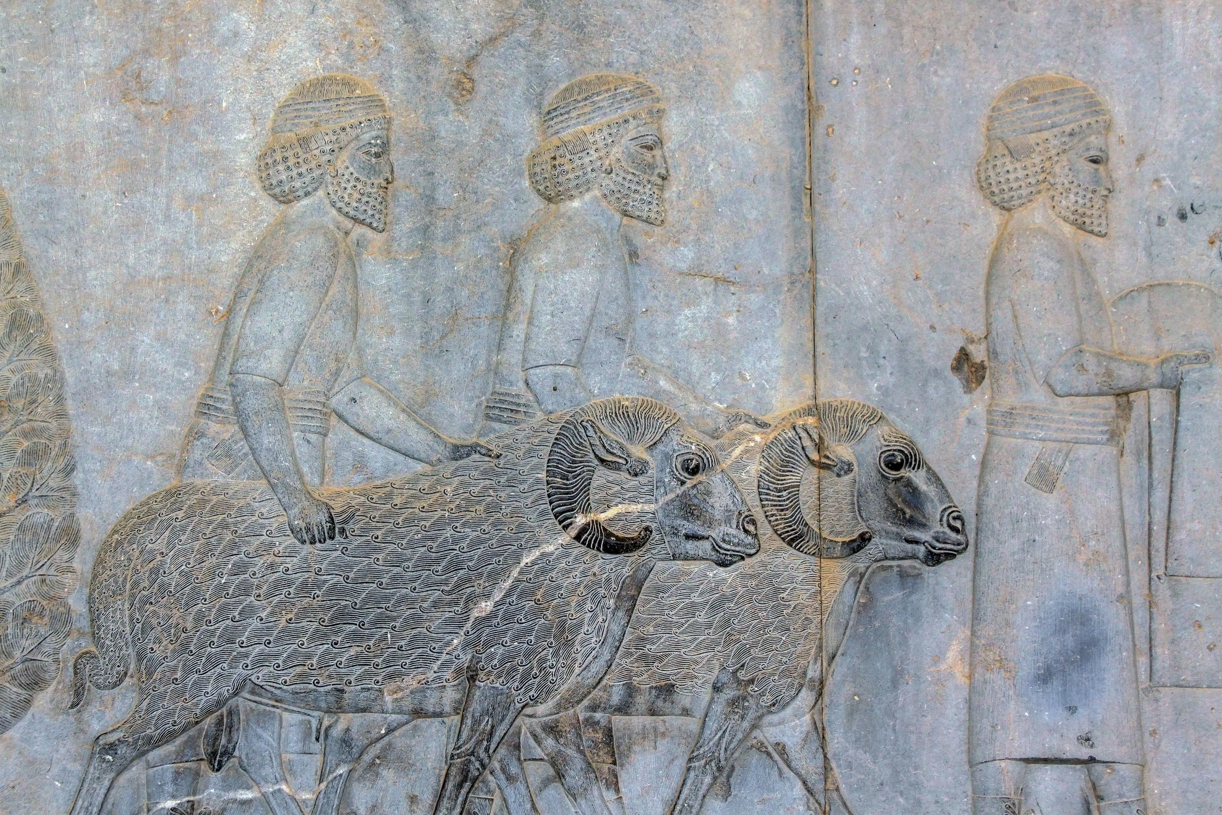 قصه ایران‌زمین؛ آریایی‌ها که بودند و از کجا آمدند؟