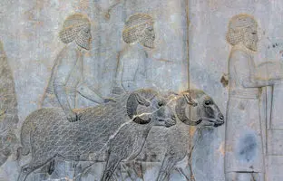 قصه ایران‌زمین؛ آریایی‌ها که بودند و از کجا آمدند؟